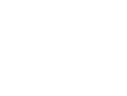 SEITA 115 SRL